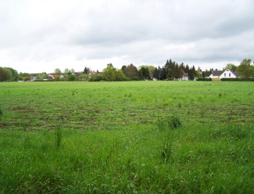 UMWELTBERICHT Teltow