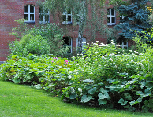 Evangelisches Diakonissenhaus Teltow