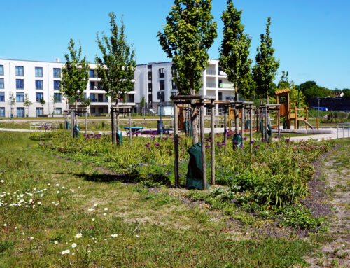 Park Schleswig